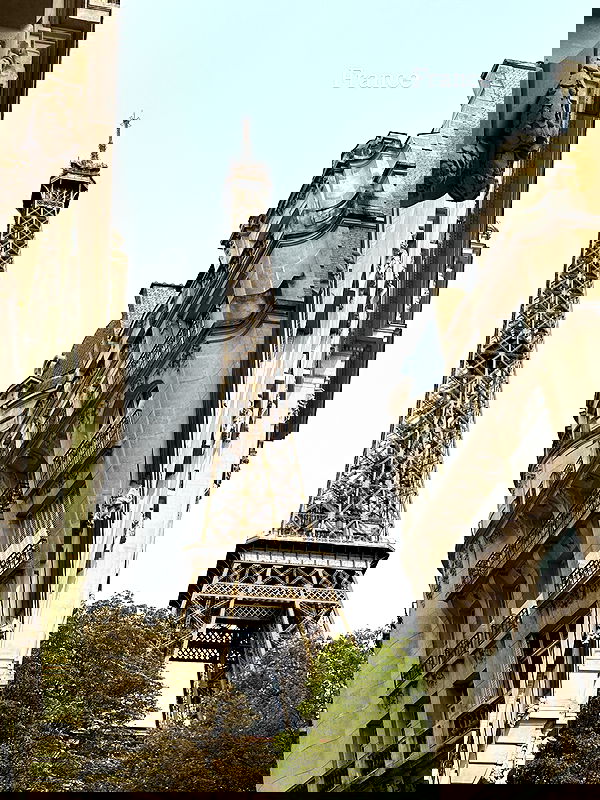 taylor.creeden taylor.creeden archive image