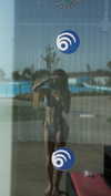 maori_cohen Altpins Profile Picture