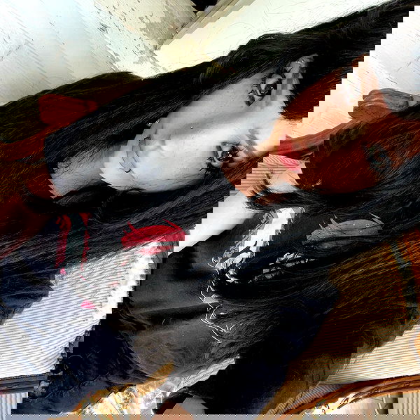 missnyxdawn missnyxdawn archive image