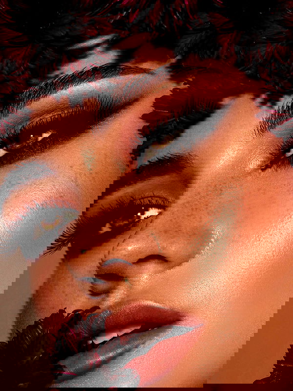 taylor.creeden taylor.creeden archive image