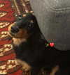 libby_reut Altpins Profile Picture