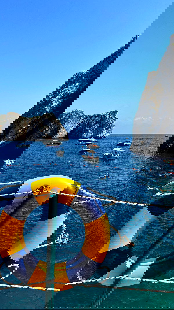 taylor.creeden taylor.creeden archive image