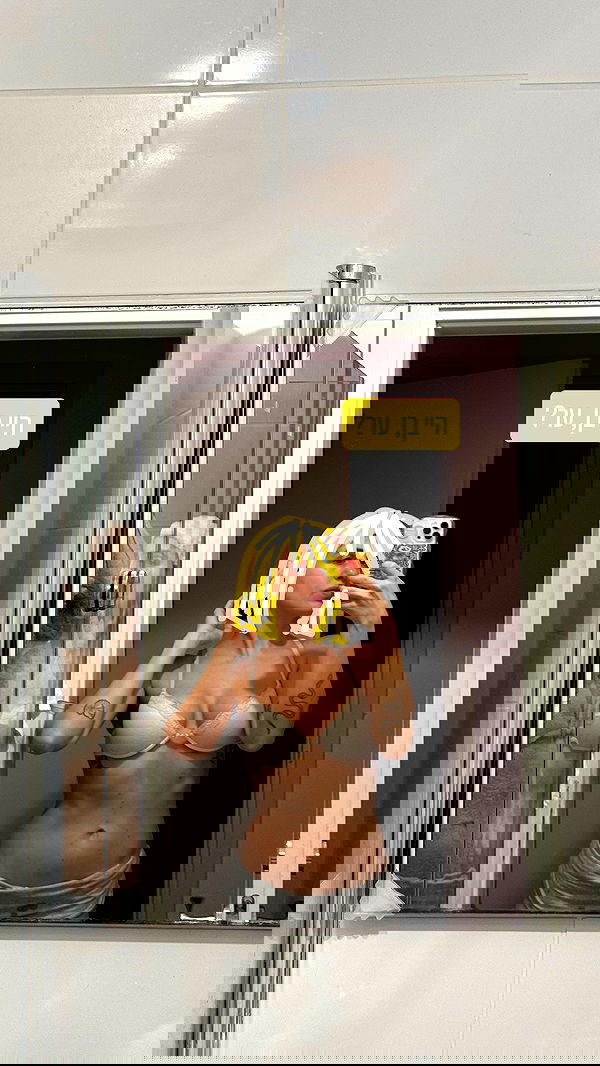 iambohema.v2 iambohema.v2 archive image