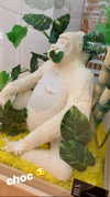 chelsnamsayin Altpins Profile Picture