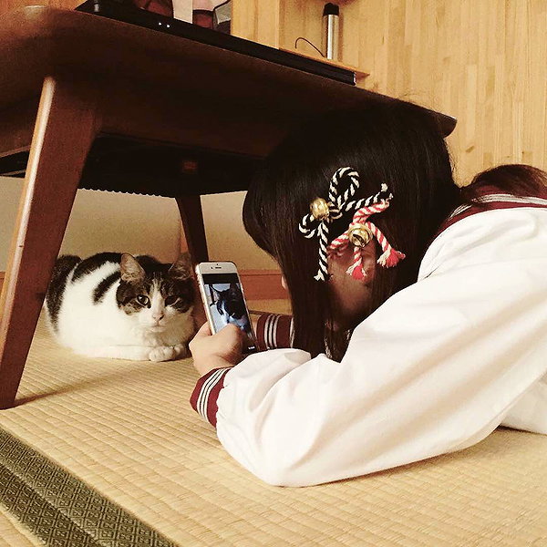 rakukoo instagram image archive image