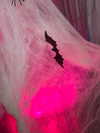 auddk_77 Altpins Profile Picture
