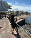 __dedgrl Altpins Profile Picture