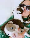 katehudson Altpins Profile Picture