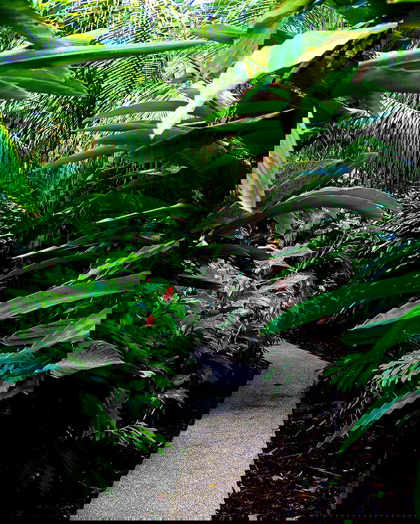 taylor.creeden taylor.creeden archive image