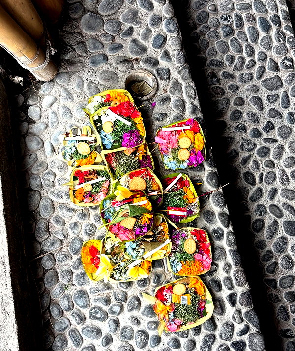 niisadurmaz instagram image archive image