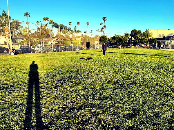alexandradaddario instagram image archive image