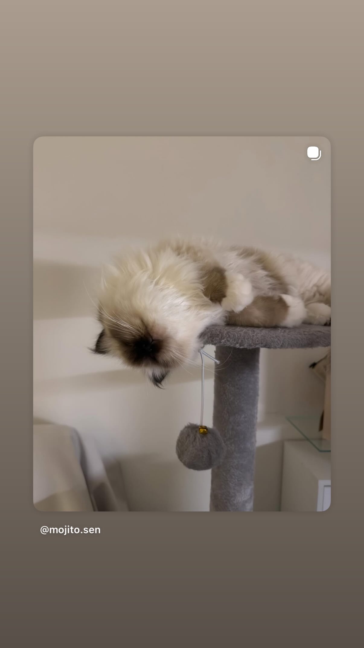 kasumi_sen instagram image archive image