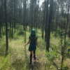 jadelaverne Altpins Profile Picture