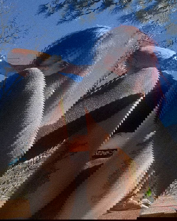 zommmbri zommmbri archive image