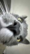 minenmi_ Altpins Profile Picture