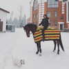 kafelnikova_a Altpins Profile Picture