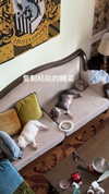 marilyn_damaged Altpins Profile Picture
