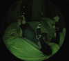 miss_baby007 Altpins Profile Picture