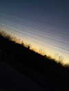 kimberr_0000 Altpins Profile Picture