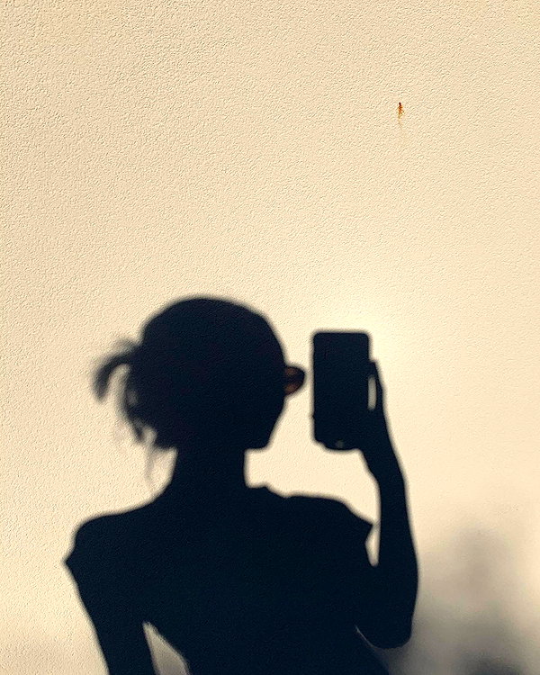 sullivang_ instagram image archive image