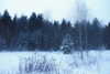 danafetishistova Altpins Profile Picture