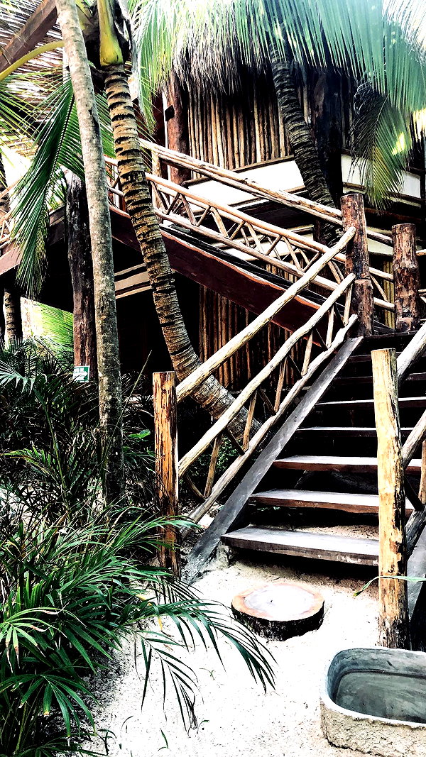 barzomer instagram image archive image