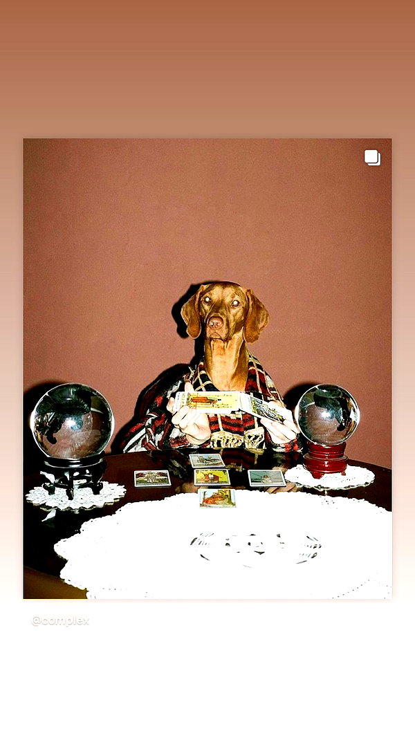 arianagrande instagram image archive image