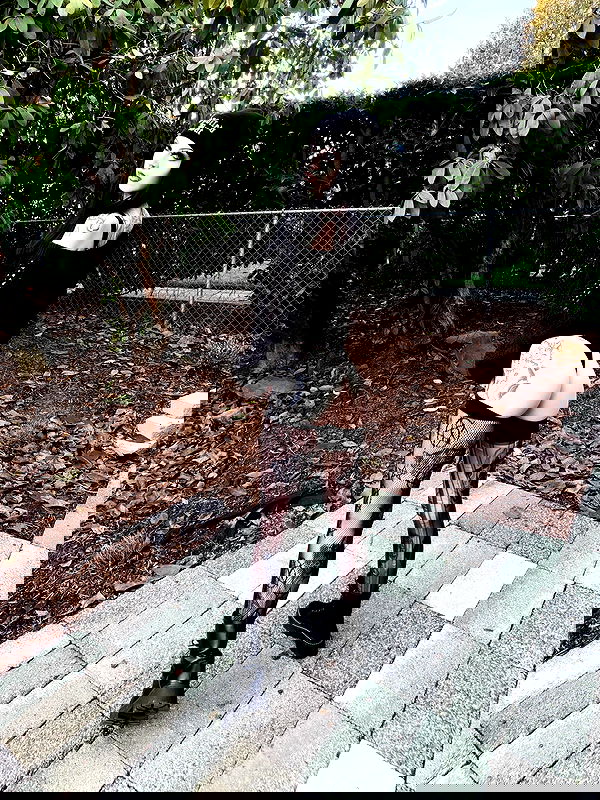 iamm3dusa image ~ Altpins