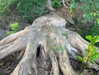 m1lkh8club Altpins Profile Picture
