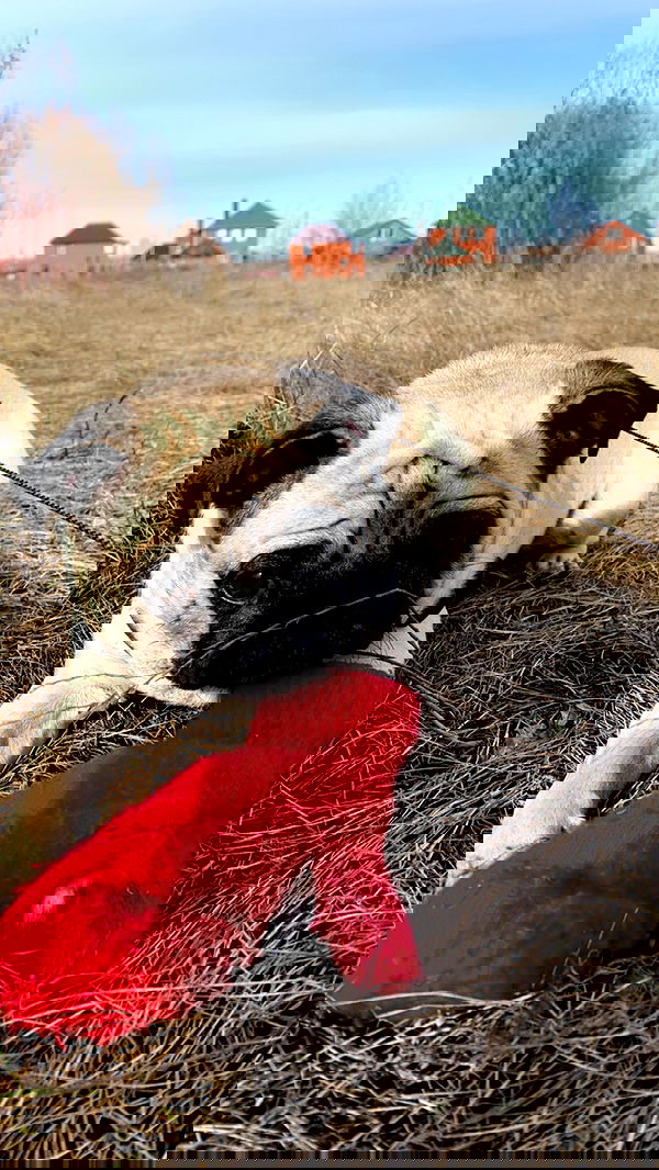 nyityam nyityam archive image