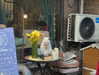 marlene_808 Altpins Profile Picture