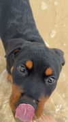 olivia.mathers Altpins Profile Picture