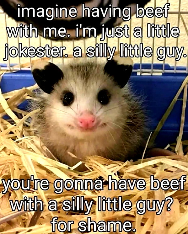 leanbeefpatty instagram image archive image