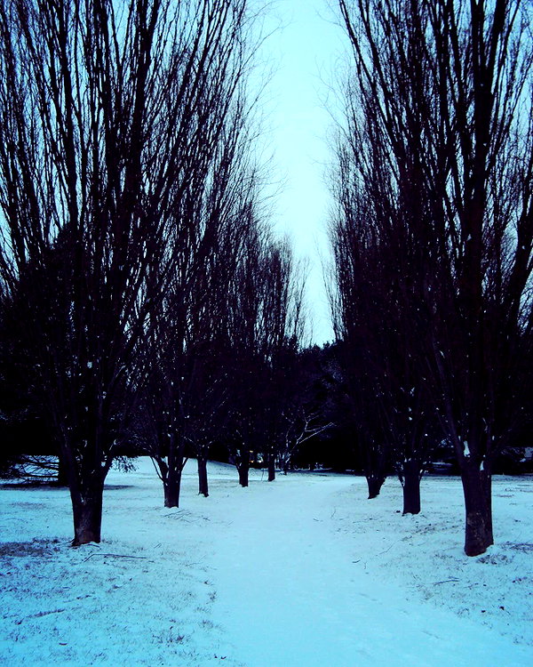 prettys1ckkkk instagram image archive image