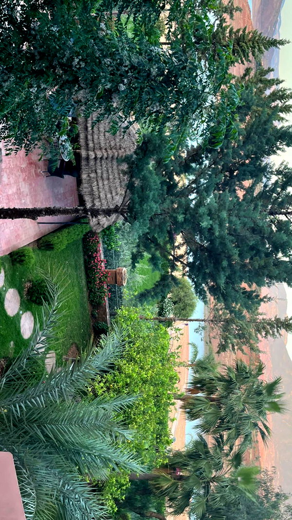 Archived image from @elaysolomon on Instagram