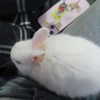 niram1y Altpins Profile Picture