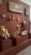 federica.piccinni Altpins Profile Picture