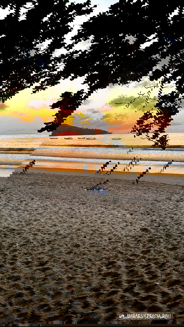 taylor.creeden taylor.creeden archive image