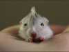 lola.luvgood Altpins Profile Picture