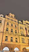 nikolpeleg Altpins Profile Picture