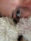 danamrts Altpins Profile Picture