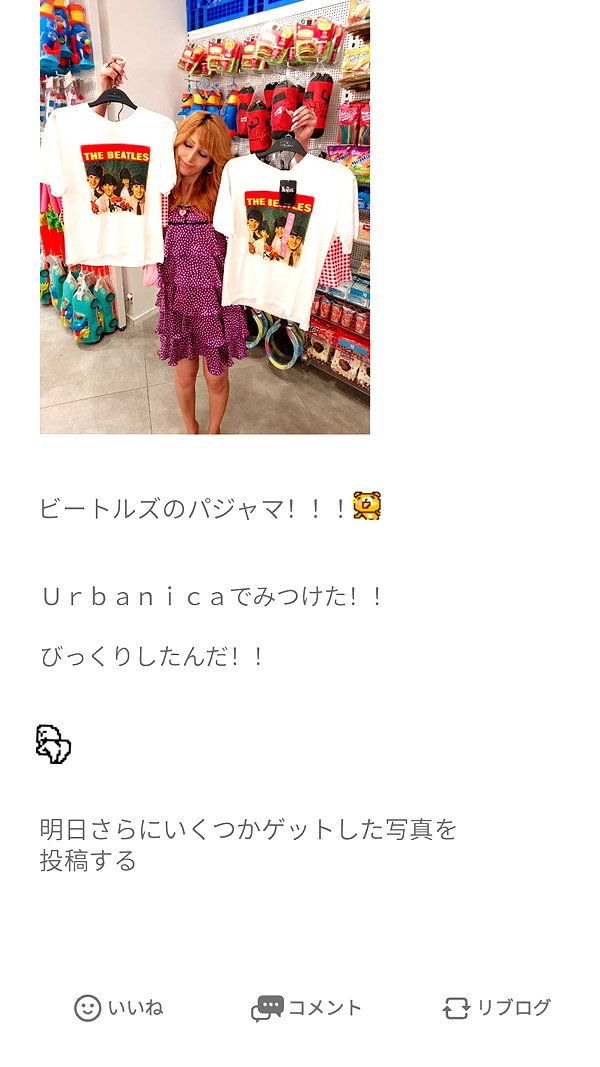 piyokoblog archive image