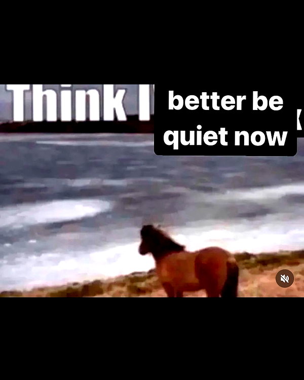 leanbeefpatty instagram image archive image