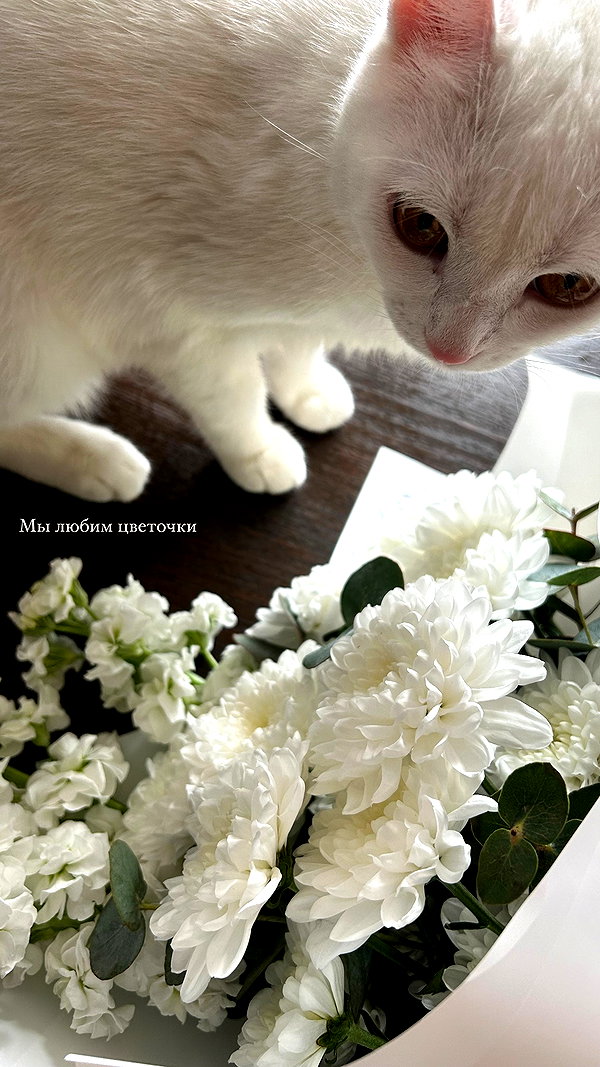 miikheeva_stasiiya instagram image archive image