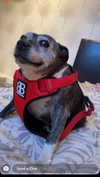 shelby.xsmith Altpins Profile Picture