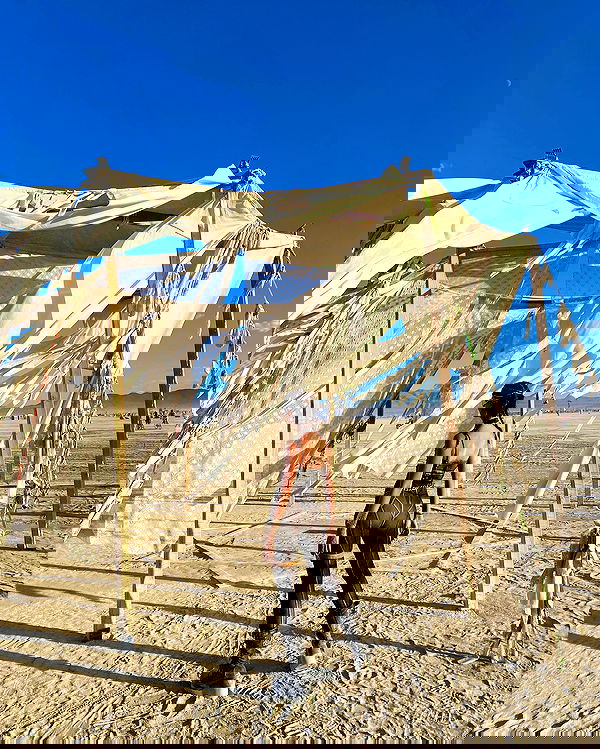 taylor.creeden taylor.creeden archive image