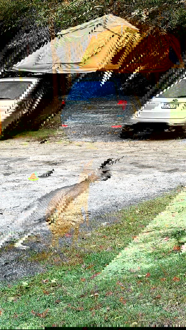 taylor.creeden taylor.creeden archive image