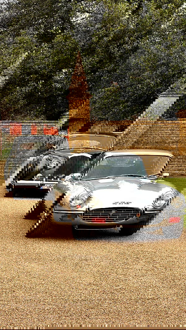 taylor.creeden taylor.creeden archive image