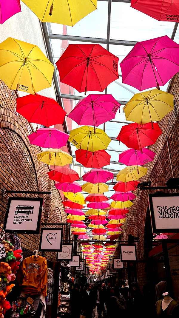 barzomer instagram image archive image