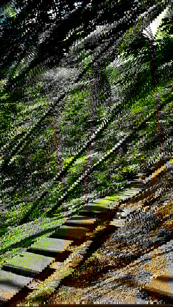 taylor.creeden taylor.creeden archive image